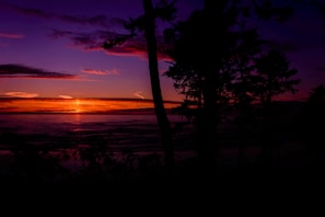 A vibrant sunset over the ocean with silhouettes of whales.