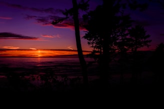 A vibrant sunset over the ocean with silhouettes of whales.