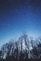 A serene image of a starry night sky representing astrology.