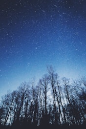 A serene image of astrological symbols and a starry sky.