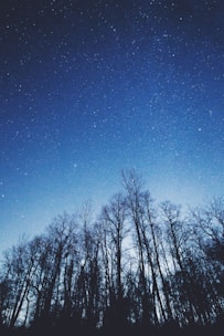 A serene image of a starry night sky representing astrology.