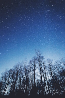 A serene image of a starry night sky representing astrology.