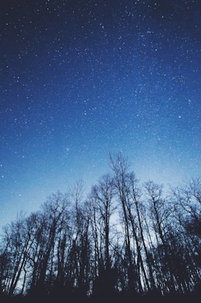 A serene image of astrological symbols and a starry sky.