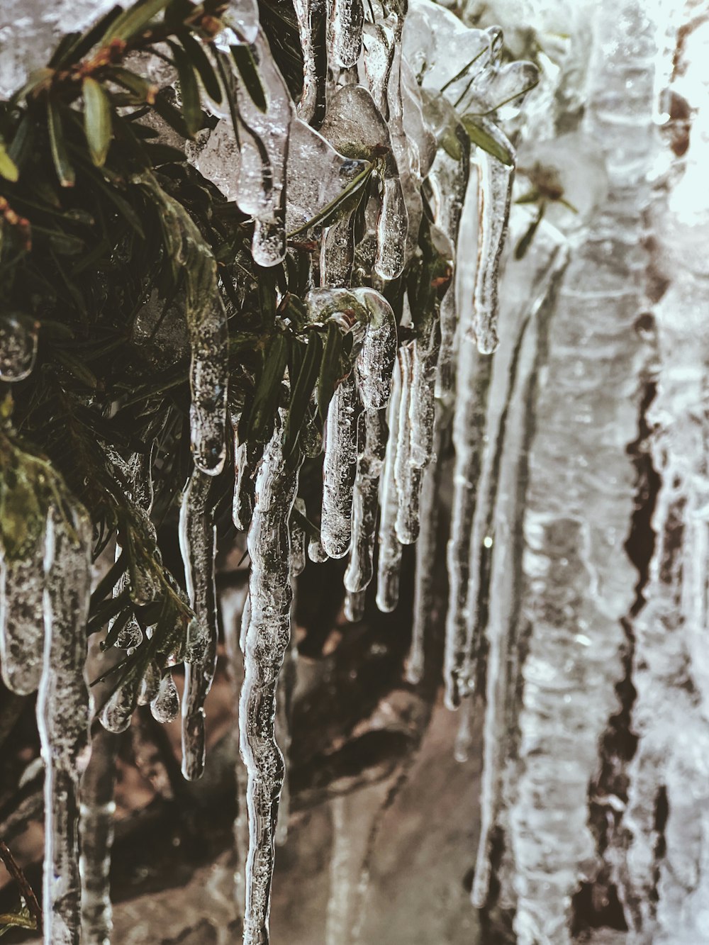 photo of icicle