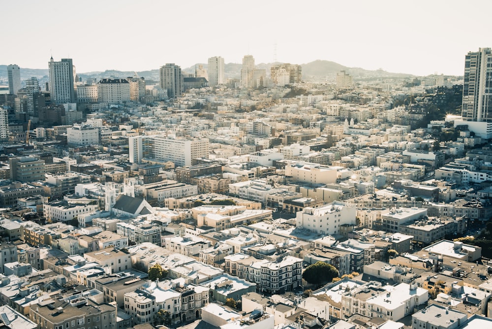 areal view photography of city building during daytime