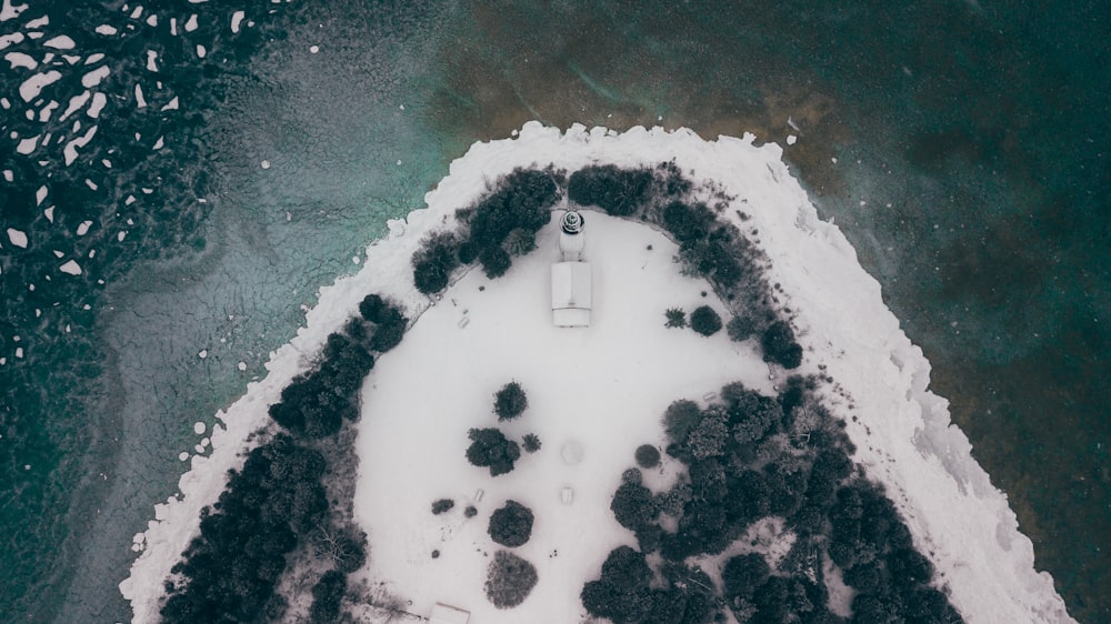 alberi verdi vicino allo specchio d'acqua durante il giorno