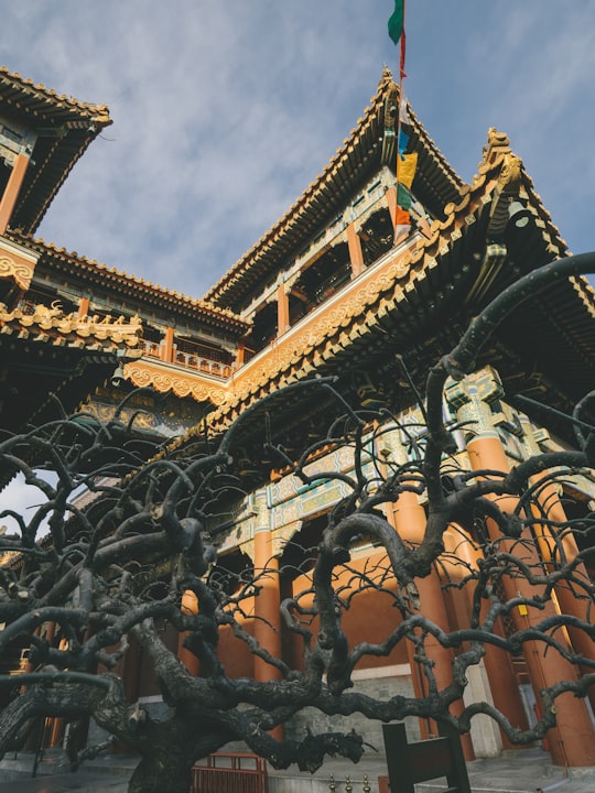 photo of Lama Temple Temple near The Palace Museum