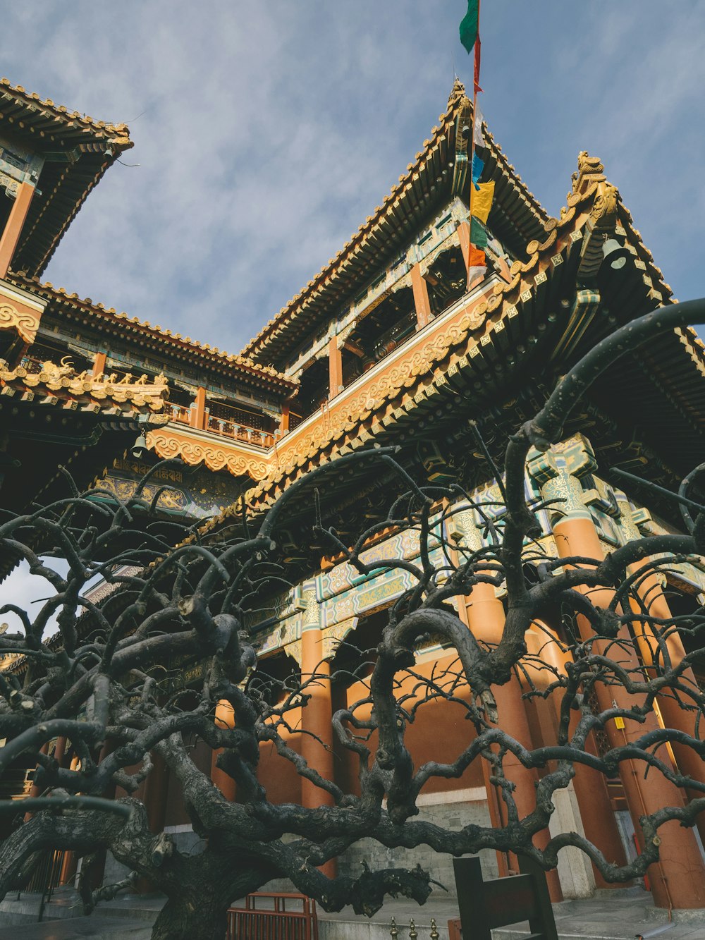 photo of Forbidden City, China