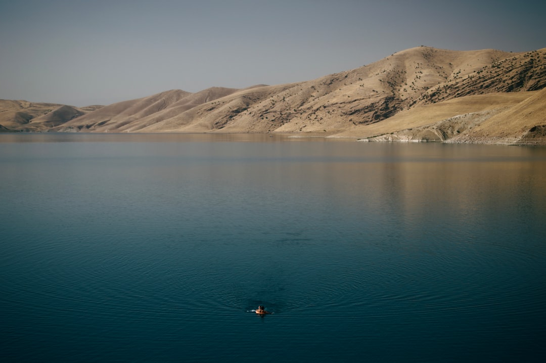 person swimming on body of water