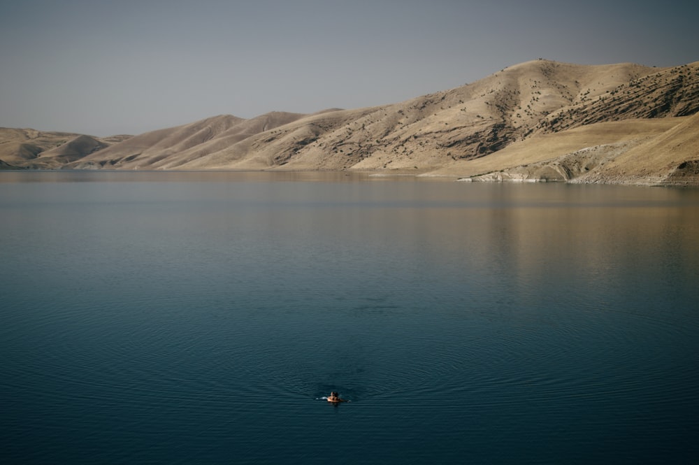 person swimming on body of water