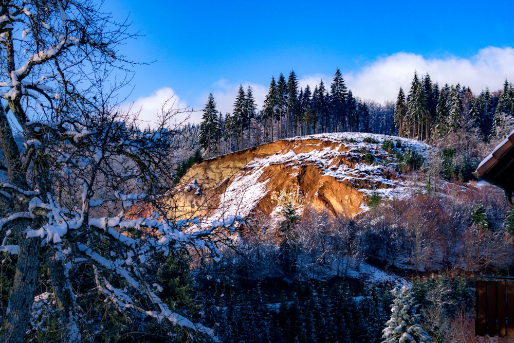 landscape photography of mountains surrounded by trees