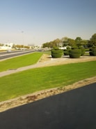 A well-maintained green park area with trimmed grass and blooming flowers.