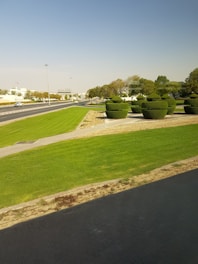 A well-maintained park area featuring carefully trimmed circular bushes and expansive green lawns adjacent to a road. The scene includes a clear sky and trees in the background, with a few vehicles visible on the road.