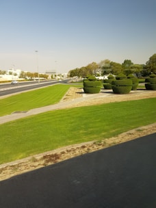 Wide shot of a landscaped park with trimmed lawns and decorative shrubs.