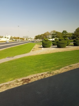 A well-maintained park area featuring carefully trimmed circular bushes and expansive green lawns adjacent to a road. The scene includes a clear sky and trees in the background, with a few vehicles visible on the road.