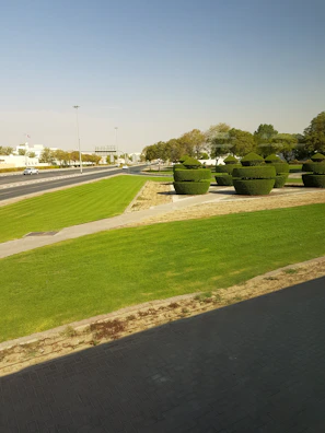 Before and after shots of roadside vegetation maintenance demonstrating clean and tidy results