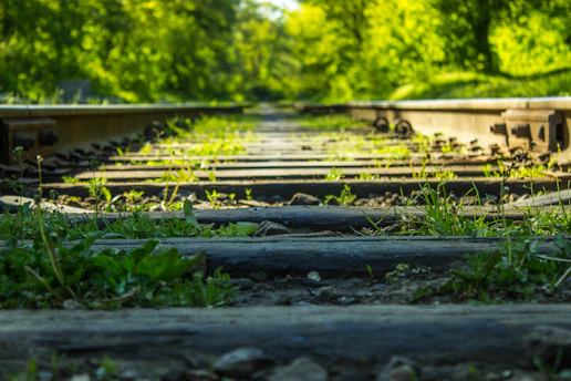 Close-up of workers laying railway tracks surrounded by green landscape.