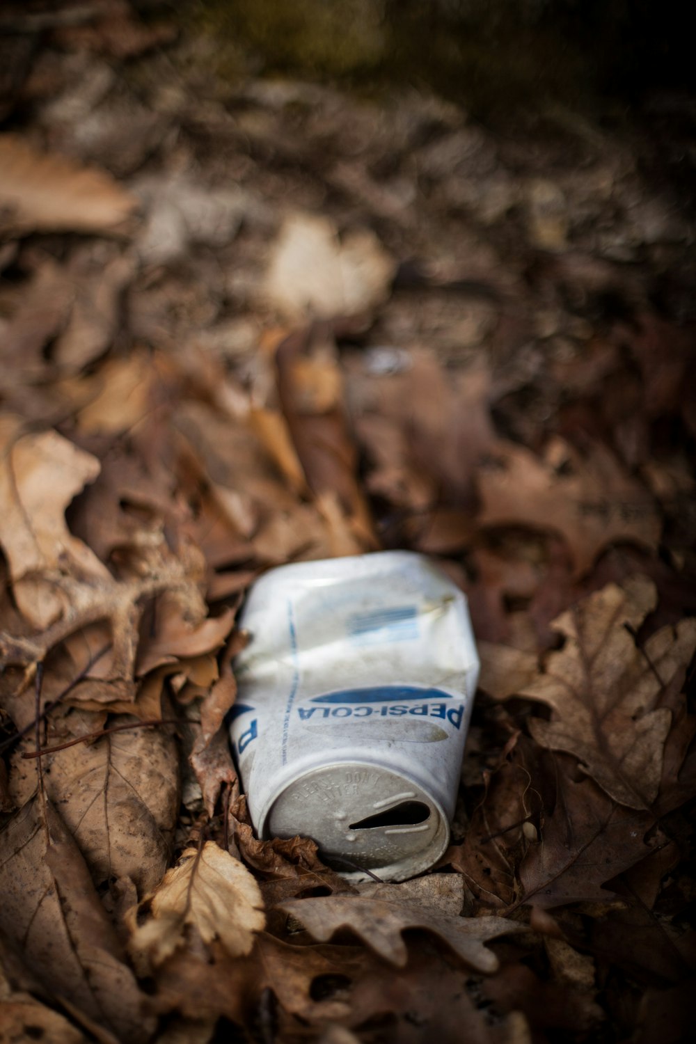 gray beverage can on dried leaves