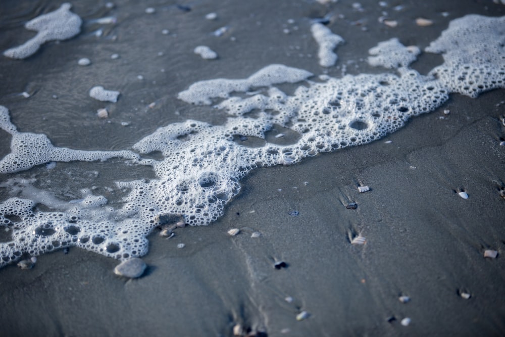 closeup photo of seashore