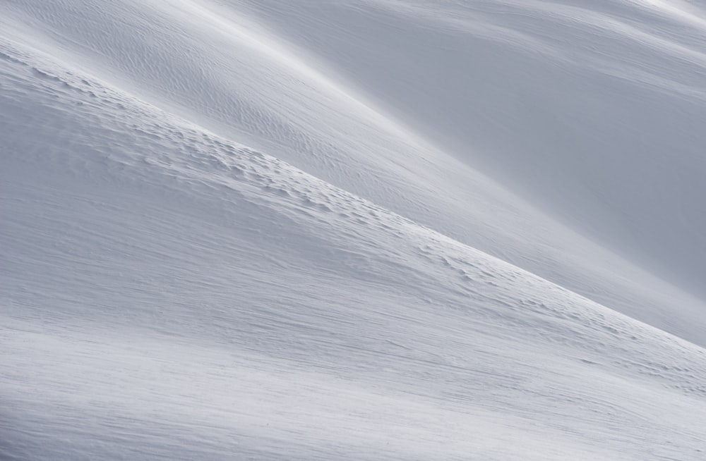 champ de neige