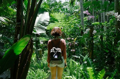 A person with a backpack is standing in a lush, green tropical forest surrounded by various plants and flowers, including large leaves and blooming orchids. The scene is bright with natural sunlight filtering through the dense foliage.