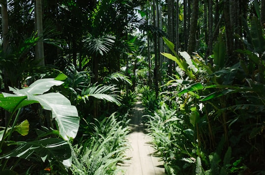 Southeast Botanical Garden things to do in Nago