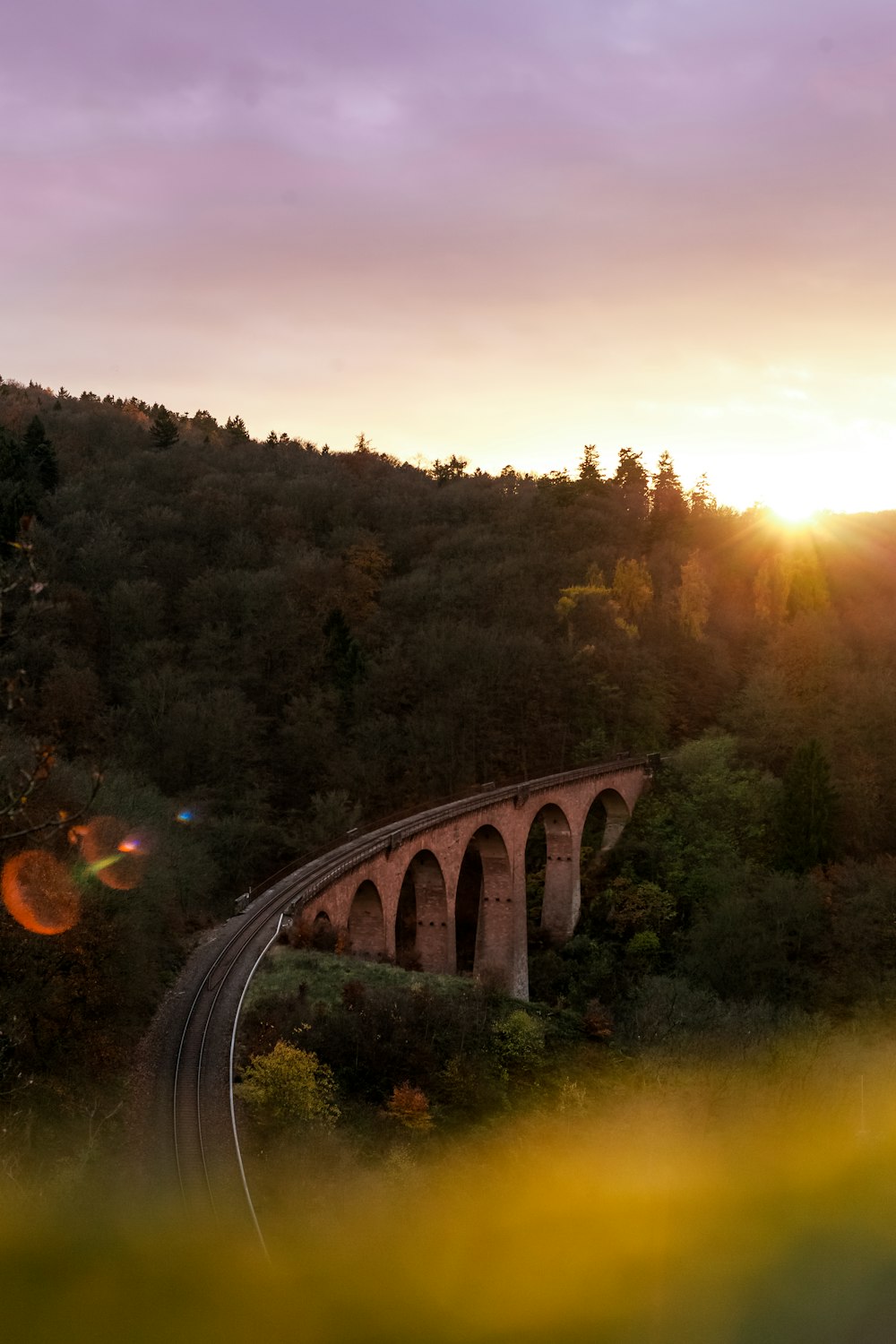 golden hour photography of railroad