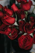red roses