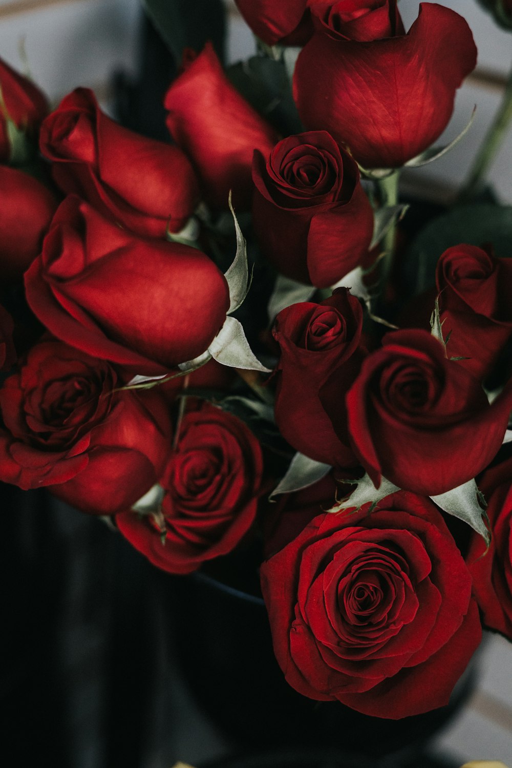 350 Romantic Rose Pictures Hq Download Free Images On Unsplash