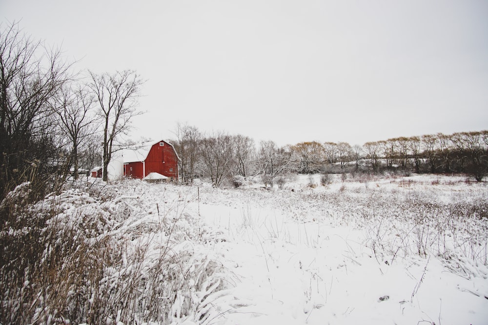 Casa roja rodeada de nieve y árboles