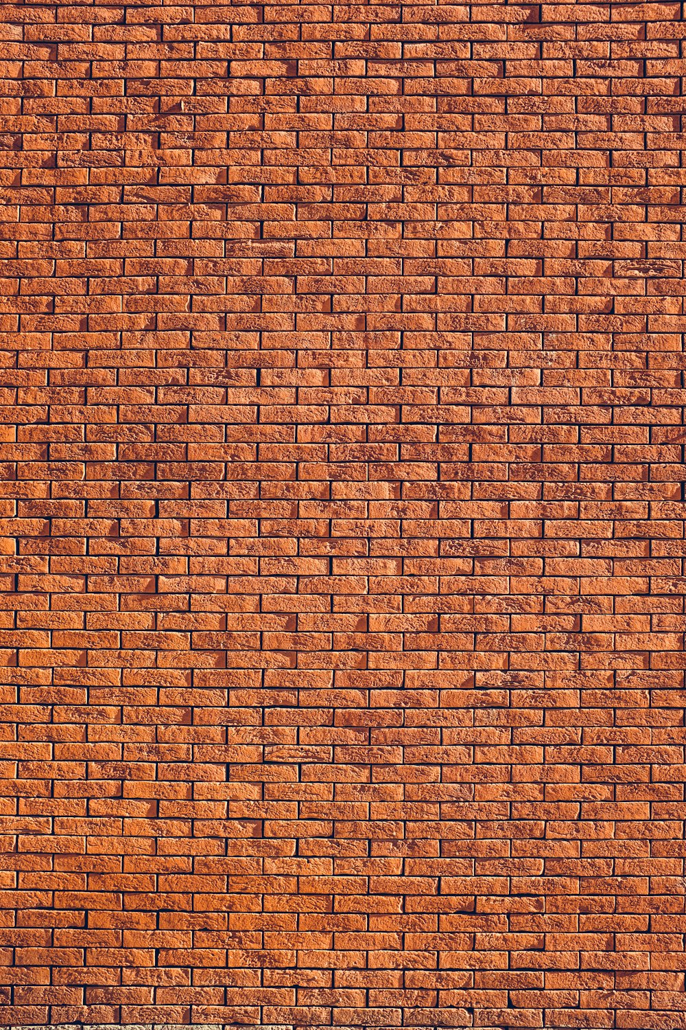 갈색 벽 클래딩
