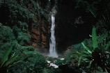 waterfalls in between green trees at daytime