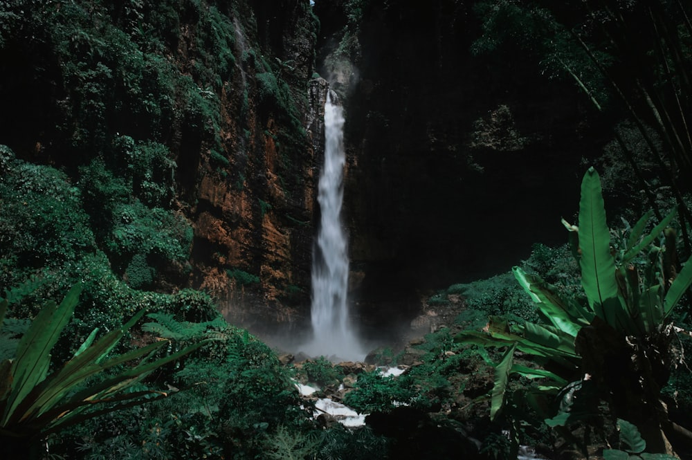 waterfalls in between green trees at daytime