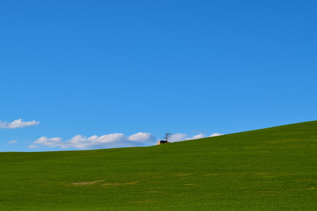 Plain photo spot Montescudaio Gallina