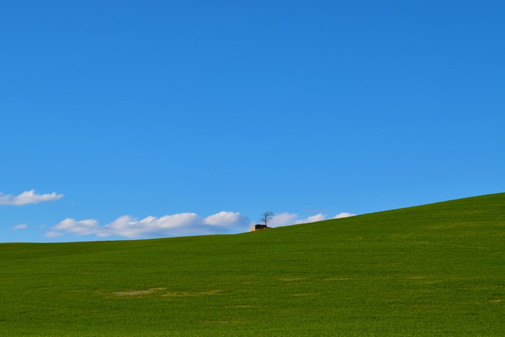 house on hill