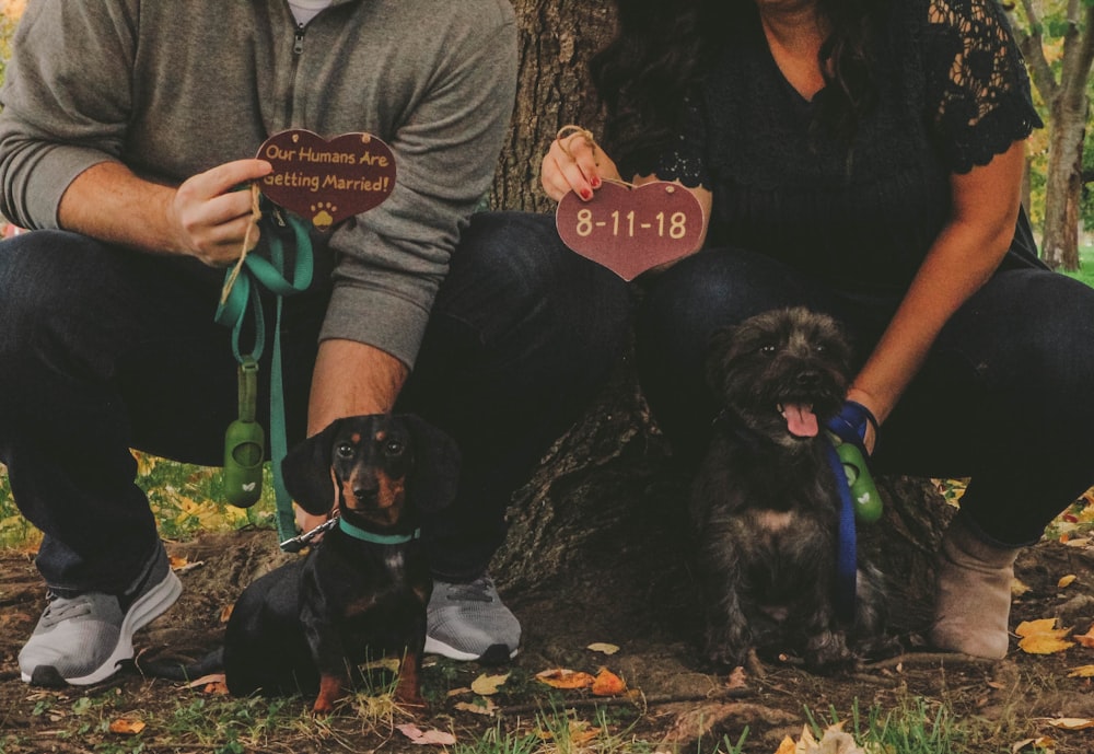 woman holding dog beside man holding dog leaning on tree