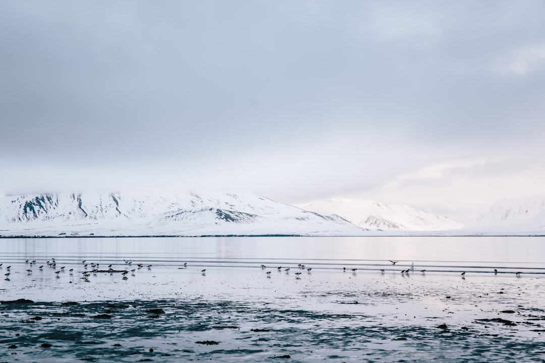 landscape photography of snow mountains