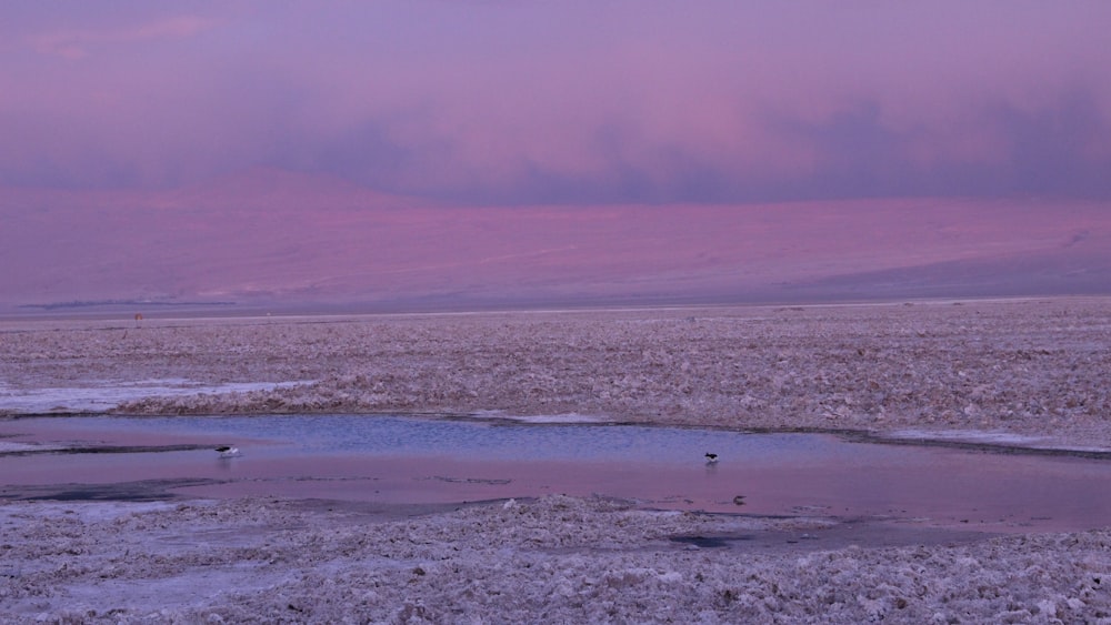 landscape photography of body of water during sunset