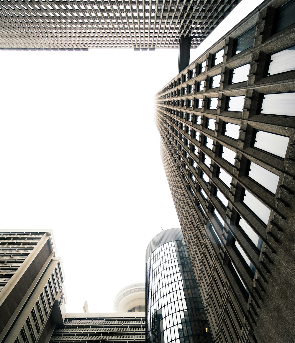 bird'seye view photography of building