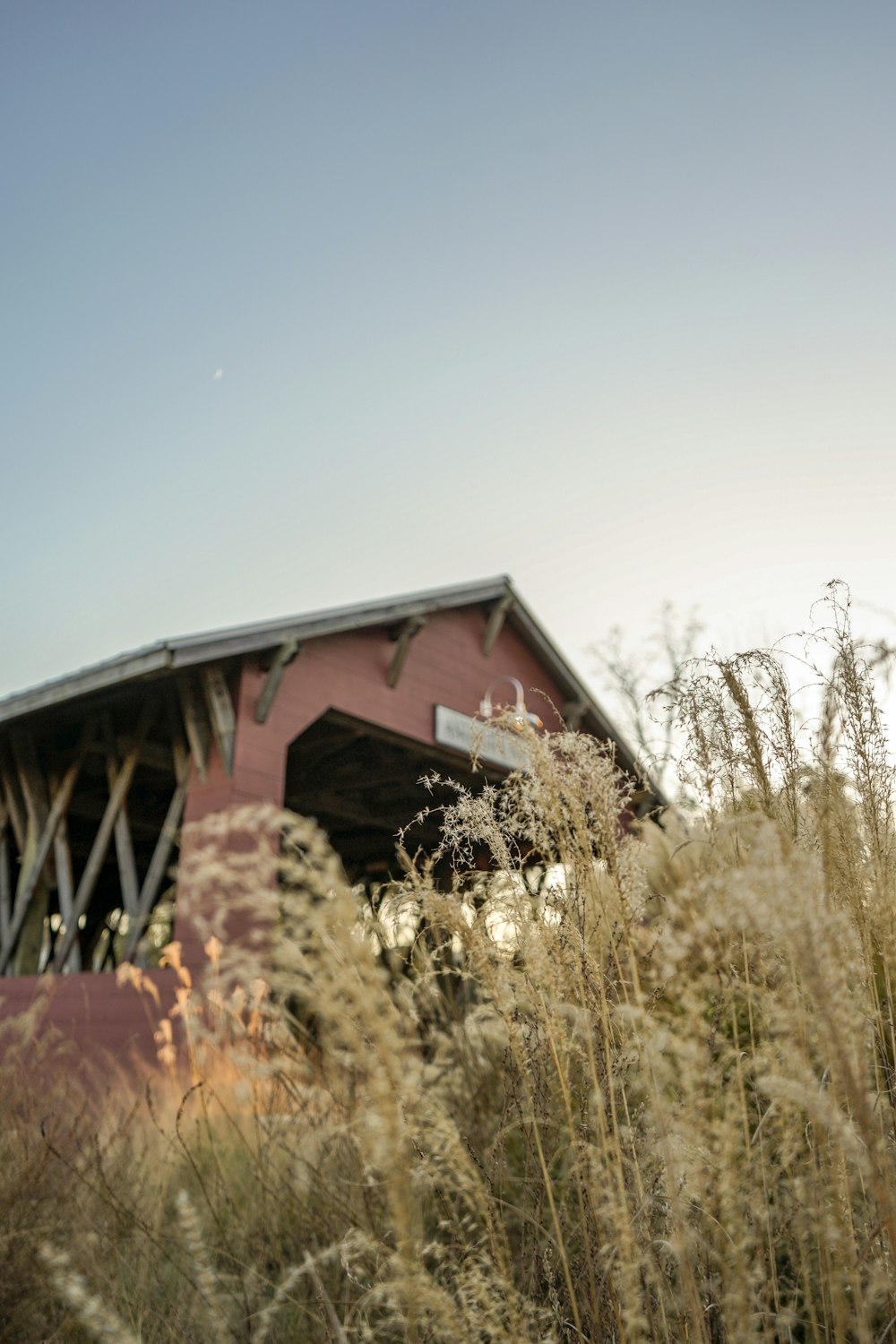 brown grass near red building at daytime