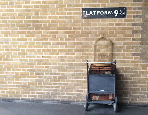 A brick wall features a sign that reads 'Platform 9¾'. Below the sign, a luggage cart appears to be embedded halfway into the wall, with a suitcase and a birdcage on top.
