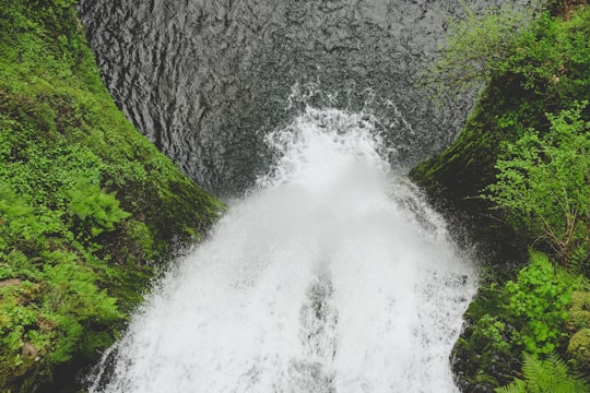 waterfalls surrounded by moss during daytime in Portland United States