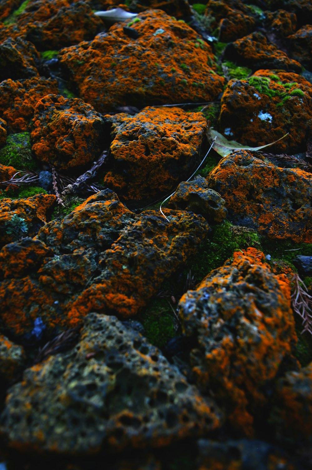 closeup photo of stones