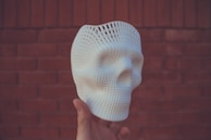 white 3D-printed skull scale model