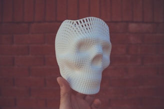 white 3D-printed skull scale model