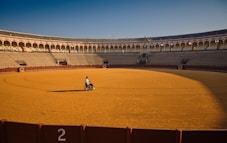 A person in a wheelchair is positioned at the center of an empty bullfighting ring. The ring is surrounded by red barriers and multi-tiered seating, with a clear blue sky in the background.