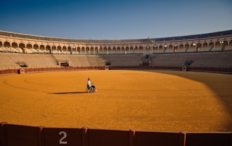 A person in a wheelchair is positioned at the center of an empty bullfighting ring. The ring is surrounded by red barriers and multi-tiered seating, with a clear blue sky in the background.