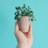 A smiling woman holding a vibrant green plant in a sleek ceramic pot from potterynest.