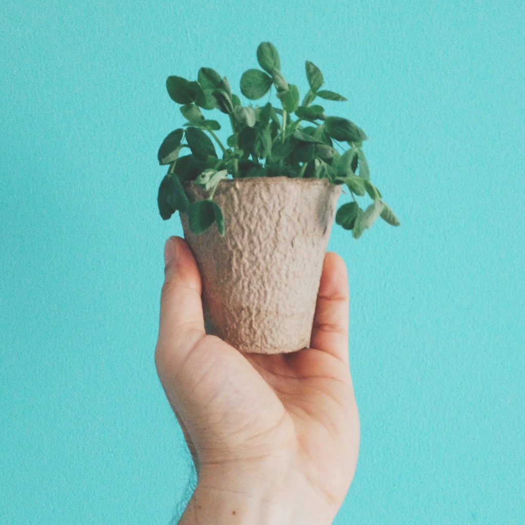 Terracotta Herb Planter