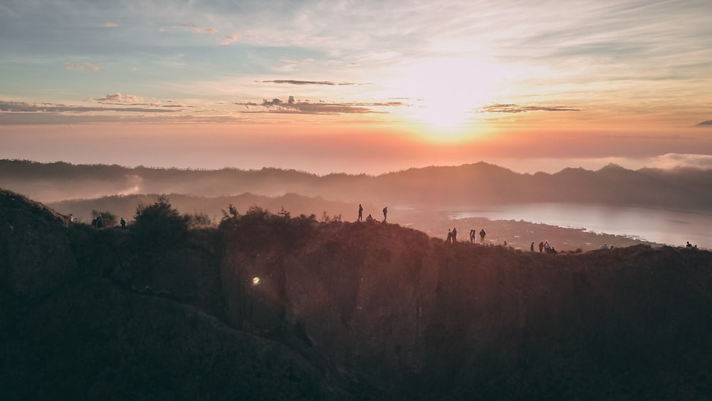 silhouette of trees on mountain